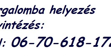 Zöld rendszám kiváltása, ára, okmányirodai ügyintézés